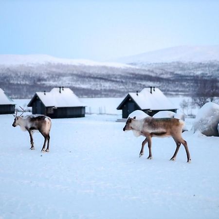 Arctic Land Adventure Glass Igloos Kilpisjarvi Bagian luar foto