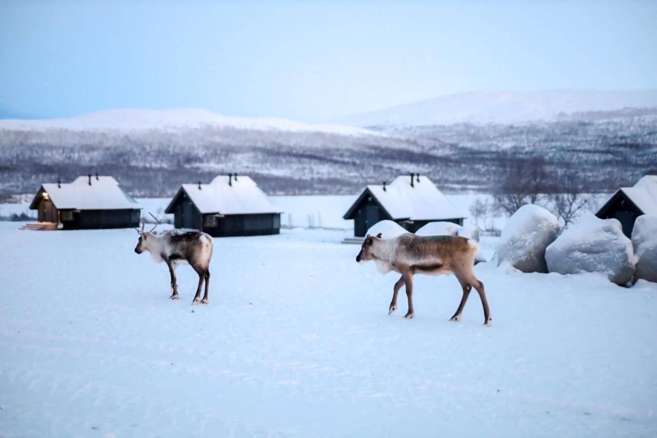 Arctic Land Adventure Glass Igloos Kilpisjarvi Bagian luar foto