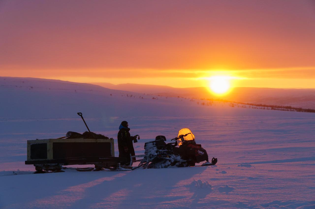 Arctic Land Adventure Glass Igloos Kilpisjarvi Bagian luar foto