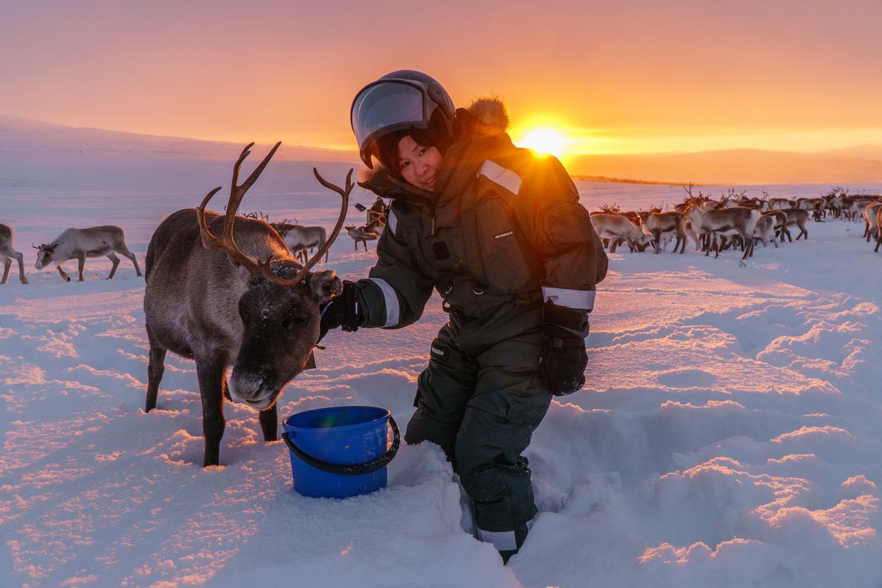 Arctic Land Adventure Glass Igloos Kilpisjarvi Bagian luar foto