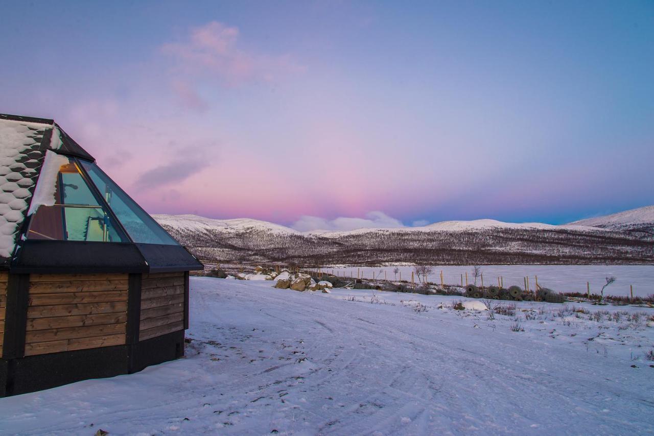 Arctic Land Adventure Glass Igloos Kilpisjarvi Bagian luar foto
